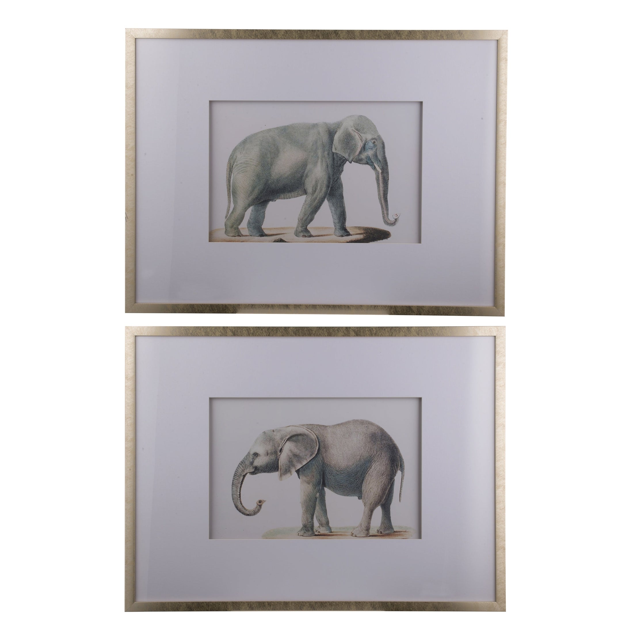Elephant Set Of 2 Pictures