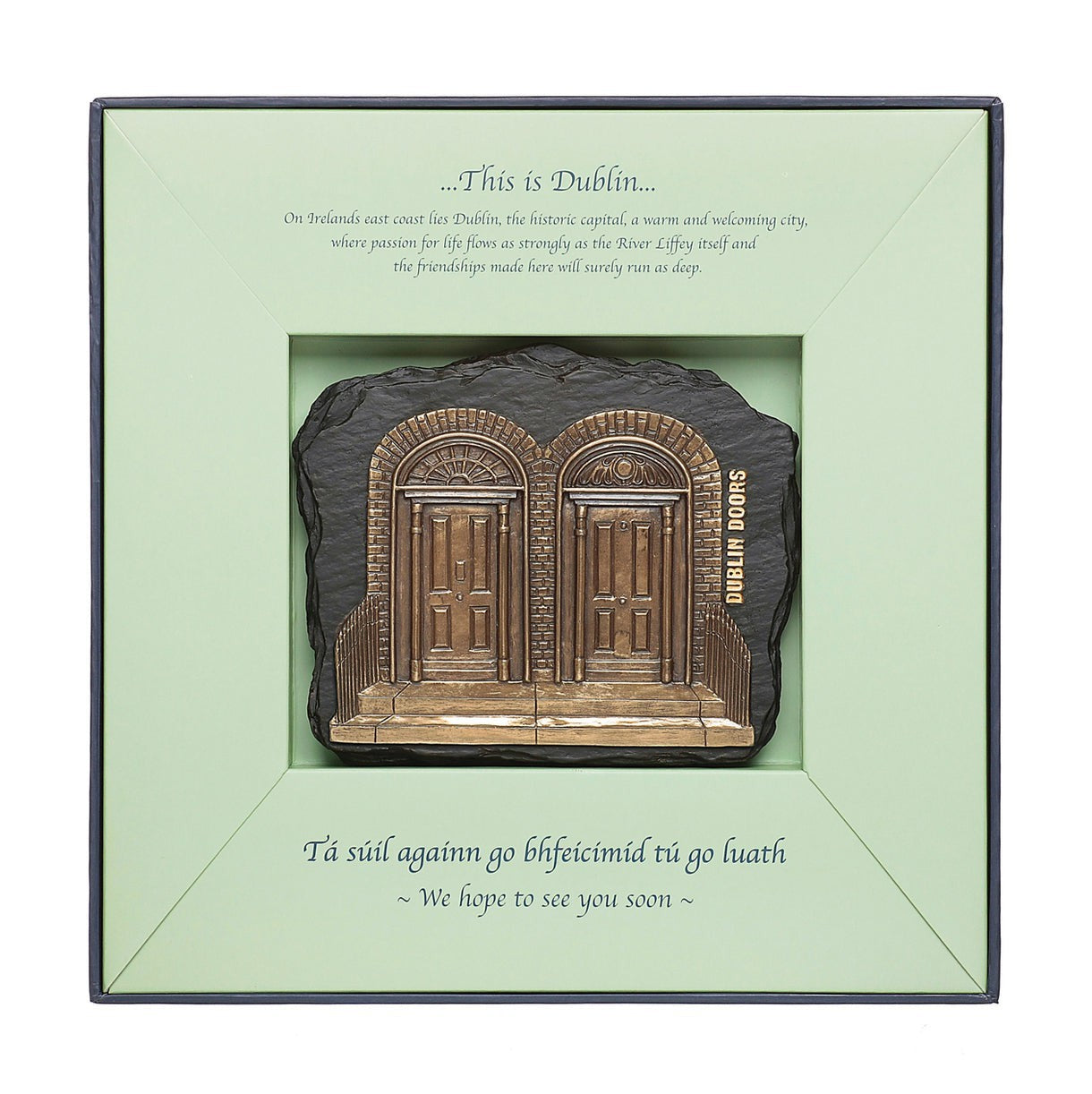 Dublin Doors